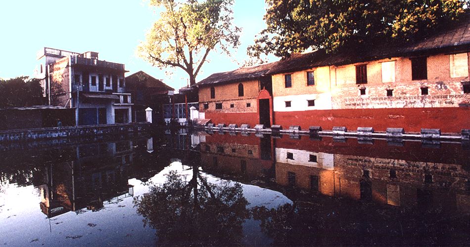 village pond